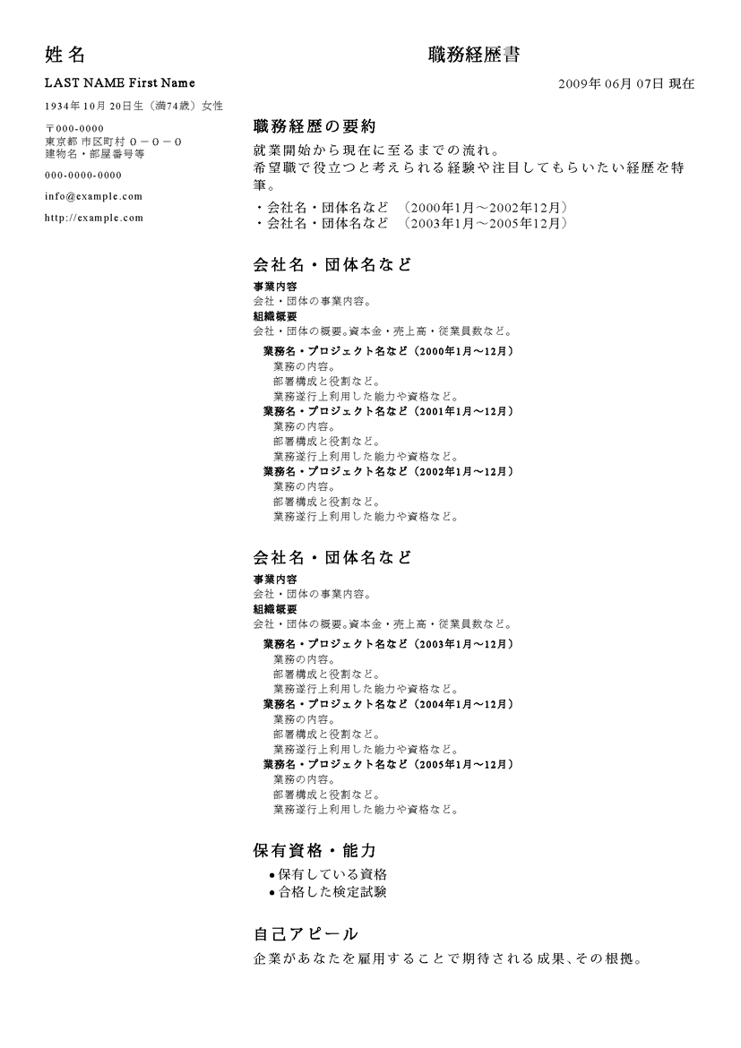 職務経歴書テンプレート HO